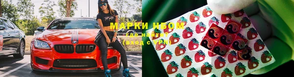 марки nbome Богданович