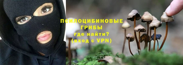 марки nbome Богданович