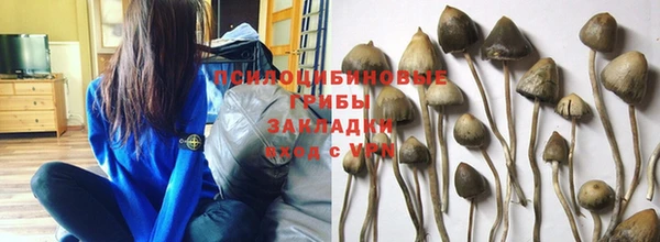 mix Богородск
