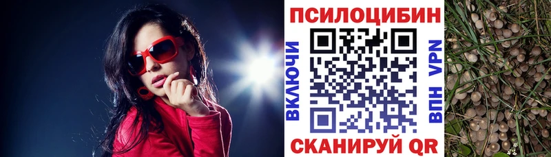 shop состав  Киселёвск  Псилоцибиновые грибы MAGIC MUSHROOMS  кракен ССЫЛКА 